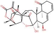 Quercetin 3-O-β-D-(6''-p-coumaroyl)glucopyranosyl(1→2)-α-L-rhamnopyranoside