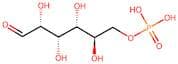 D-Glucose 6-phosphate