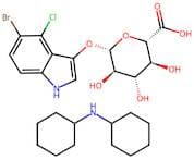 X-Gluc Dicyclohexylamine