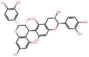 Procyanidin B5