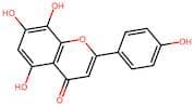 8-Hydroxyapigenin