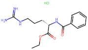 N2-Benzoyl-L-arginine ethyl ester hydrochloride