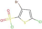 3-Bromo-5-chlorothiophene-2-sulphonyl chloride