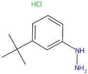 3-(tert-Butyl)phenylhydrazine hydrochloride