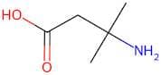 3-Amino-3-methylbutanoic acid