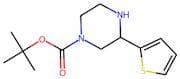 3-(Thien-2-yl)piperazine, N1-BOC protected