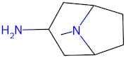 3-Amino-8-methyl-8-azabicyclo[3.2.1]octane