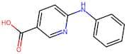 6-(Phenylamino)nicotinic acid