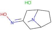 Tropinone oxime hydrochloride