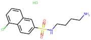 N-(4-Aminobutyl)-5-chloronaphthalene-2-sulphonamide hydrochloride