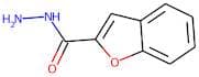 Benzo[b]furan-2-carbohydrazide