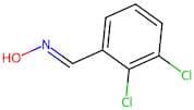 2,3-Dichlorobenzaldoxime