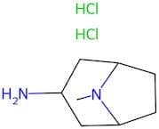 3-Amino-8-methyl-8-azabicyclo[3.2.1]octane dihydrochloride