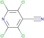 2,3,5,6-Tetrachloroisonicotinonitrile
