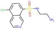 N-(2-Aminoethyl)-5-chloroisoquinoline-8-sulphonamide