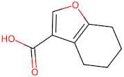 4,5,6,7-Tetrahydro-1-benzofuran-3-carboxylic acid