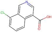 8-Chloroisoquinoline-4-carboxylic acid