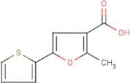 2-Methyl-5-(thien-2-yl)-3-furoic acid