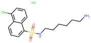 N-(6-Aminohexyl)-5-chloronaphthalene-1-sulphonamide hydrochloride