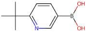 (6-(tert-Butyl)pyridin-3-yl)boronic acid