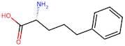 (R)-2-Amino-5-phenylpentanoic acid
