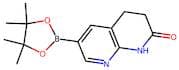 6-(4,4,5,5-Tetramethyl-1,3,2-dioxaborolan-2-yl)-3,4-dihydro-1,8-naphthyridin-2(1H)-one