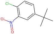 4-(tert-Butyl)-1-chloro-2-nitrobenzene
