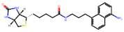 Biotin-naphthylamine