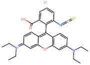 Rhodamine B isothiocyanate