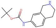 (1,2,3,4-Tetrahydro-isoquinolin-7-yl)-carbamic acid tert-butyl ester