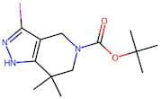 tert-Butyl 3-iodo-7,7-dimethyl-1h,4h,5h,6h,7h-pyrazolo[4,3-c]pyridine-5-carboxylate