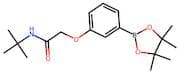 N-(tert-butyl)-2-(3-(4,4,5,5-tetramethyl-1,3,2-dioxaborolan-2-yl)phenoxy)acetamide