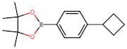 (4-Cyclobutylphenyl)boronic acid pinacol ester