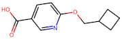 6-(Cyclobutylmethoxy)nicotinic acid