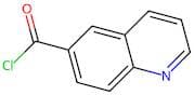 Quinoline-6-carbonyl chloride