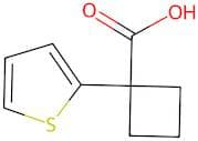 1-Thien-2-ylcyclobutanecarboxylic acid