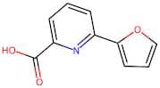 6-(2-Furyl)pyridine-2-carboxylic acid