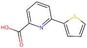 6-Thien-2-ylpyridine-2-carboxylic acid