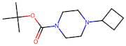 tert-Butyl 4-Cyclobutylpiperazine-1-carboxylate