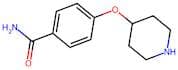 4-(Piperidin-4-yloxy)benzamide