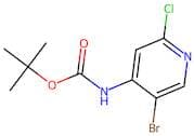 Tert-butyl 5-bromo-2-chloropyridin-4-ylcarbamate