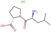 Leucylproline (hydrochloride)