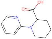 1-(Pyridin-2-yl)piperidine-2-carboxylic acid
