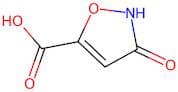 3-Hydroxyisoxazole-5-carboxylic acid
