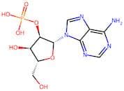 Adenosine-2'-monophosphate