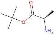 (R)-tert-Butyl 2-aminopropanoate