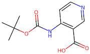 4-((tert-Butoxycarbonyl)amino)nicotinic acid