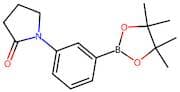 1-[3-(Tetramethyl-1,3,2-dioxaborolan-2-yl)phenyl]pyrrolidin-2-one