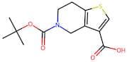 5-(tert-Butoxycarbonyl)-4,5,6,7-tetrahydrothieno[3,2-c]pyridine-3-carboxylic acid