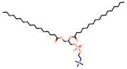 1,2-Diheptadecanoyl-sn-glycero-3-phosphorylcholine